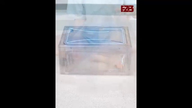 Amazon.com: EZB - Magnetic Shoe Storage Box Drop Side/Front